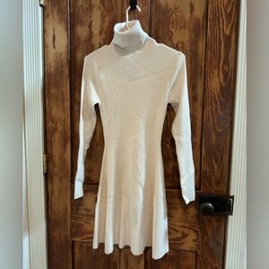 Zara Turtleneck Long Sleeve Dress